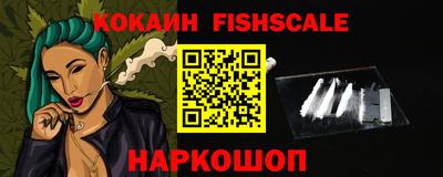 тгк Бийск