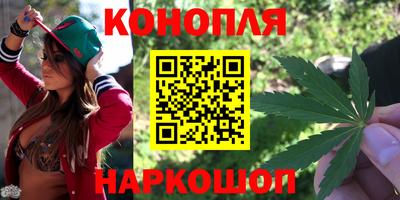 тгк Бийск