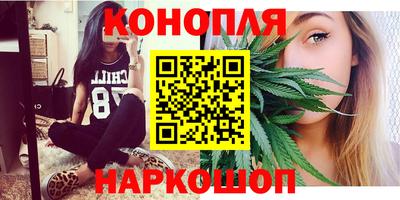 тгк Бийск