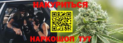тгк Бийск